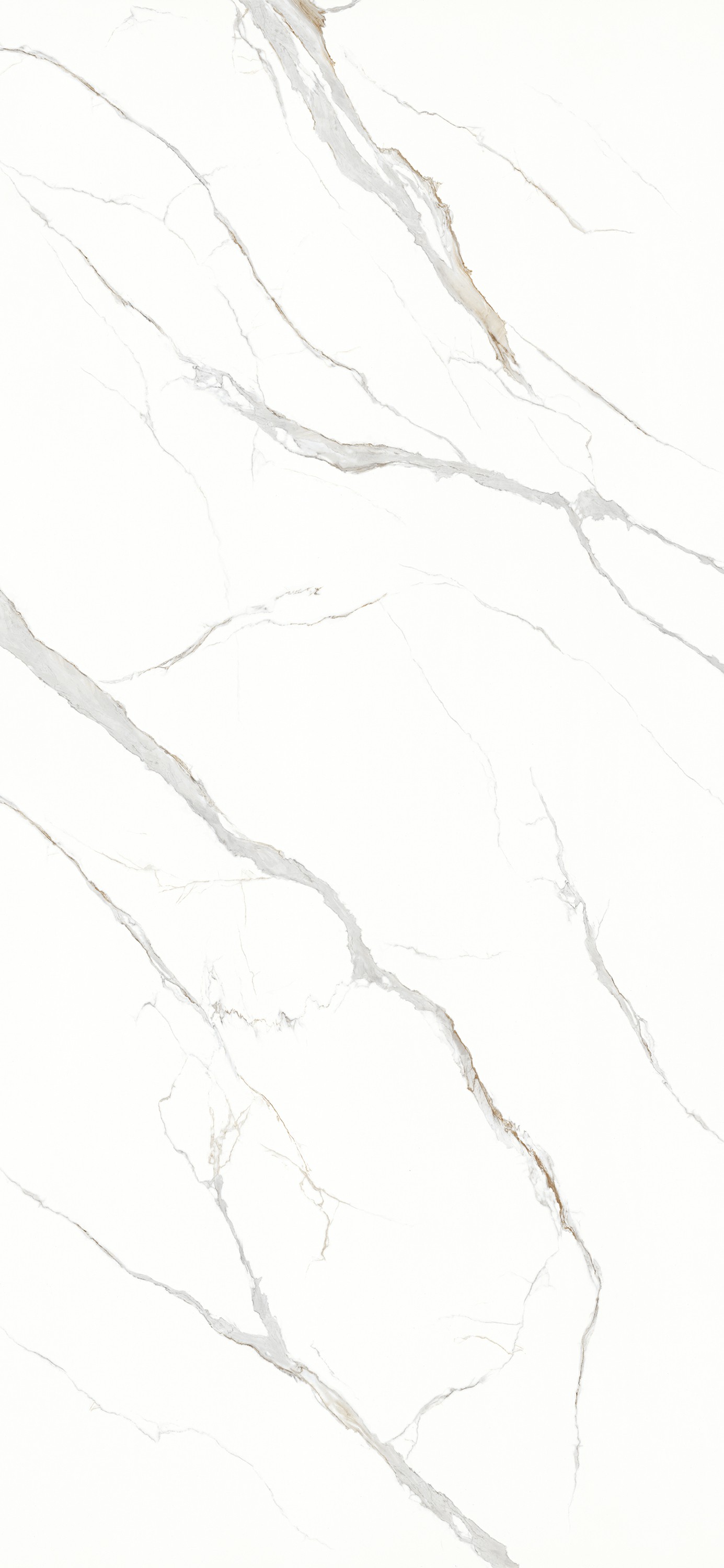 15Y126103A_卡拉卡塔金_1面-混鋪