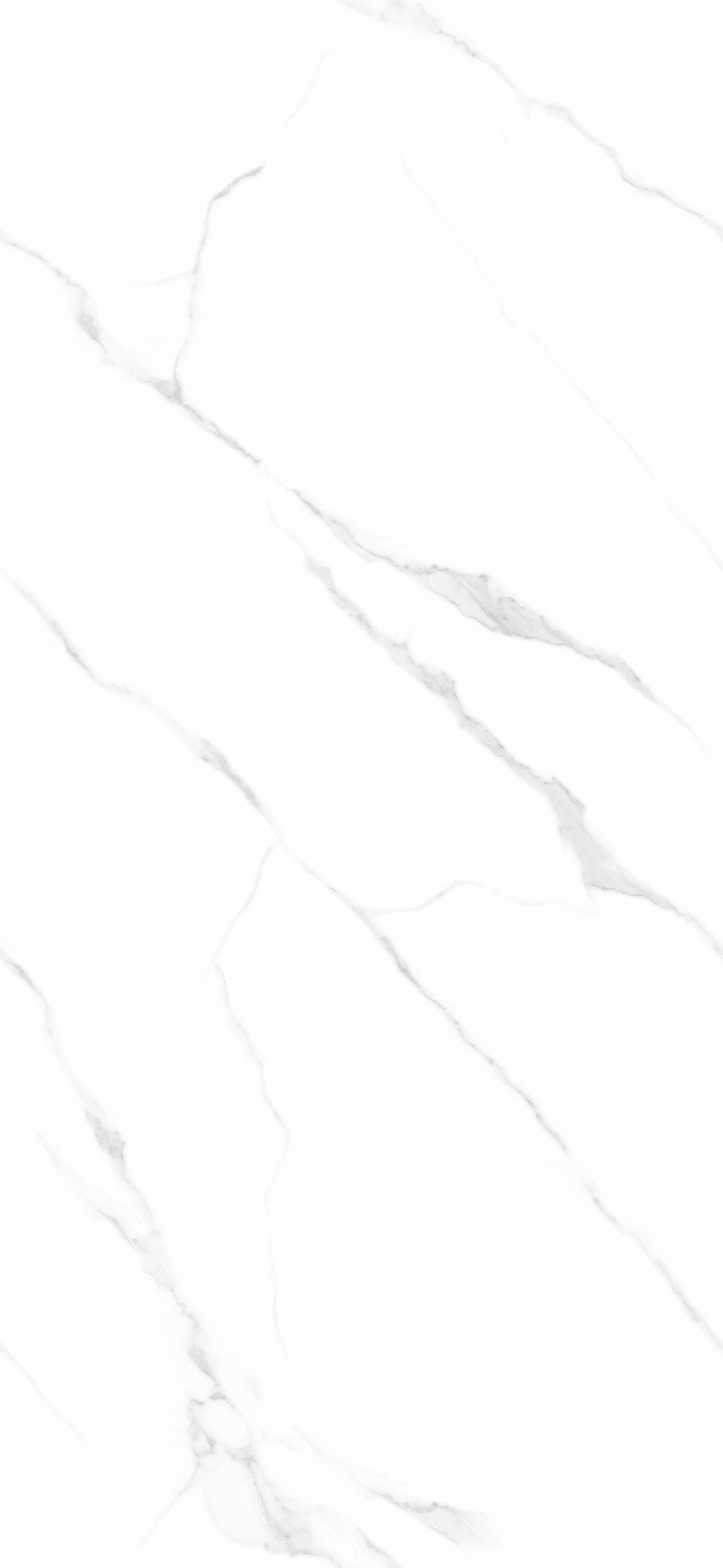 15Y126104A_意大利魚肚白_1面-上下左右無限連紋