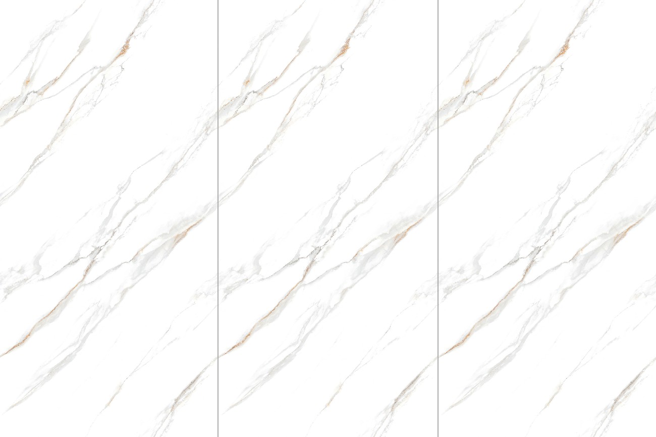 12P1632904A-G105-蘭帕斯金-1面上下左右無限連紋_(2)