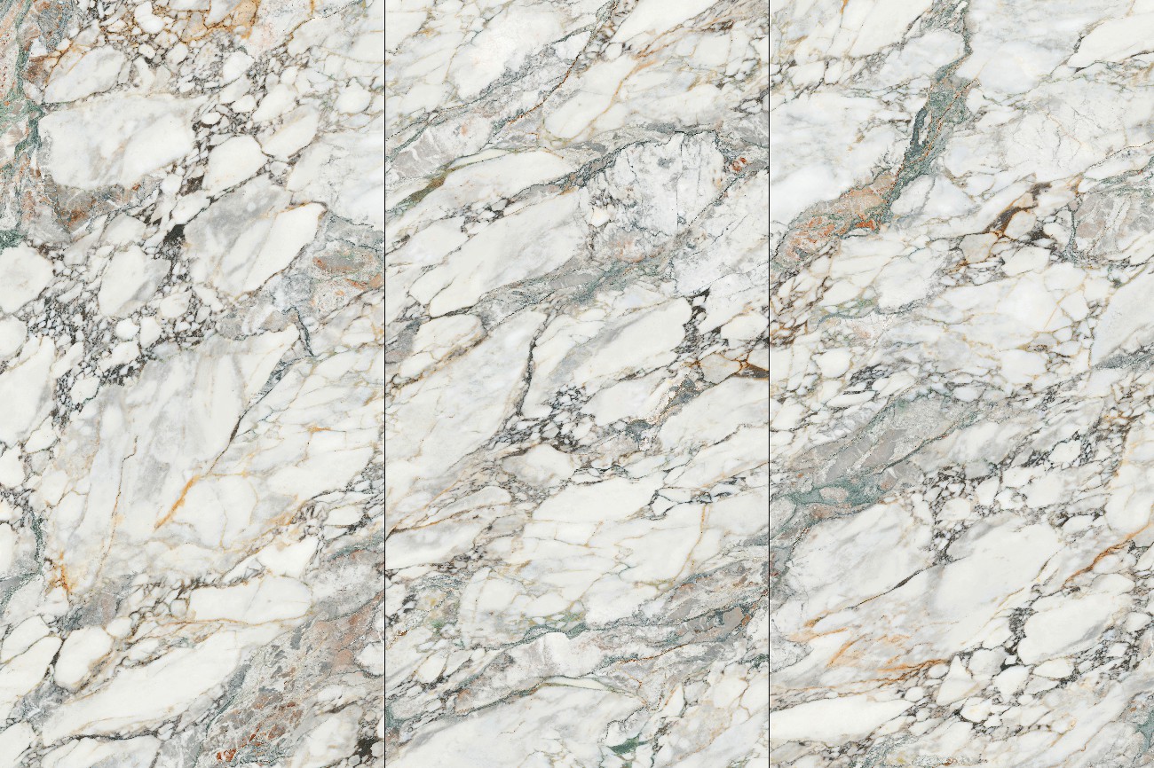 9V918725C--亞馬遜雨林-3面混鋪